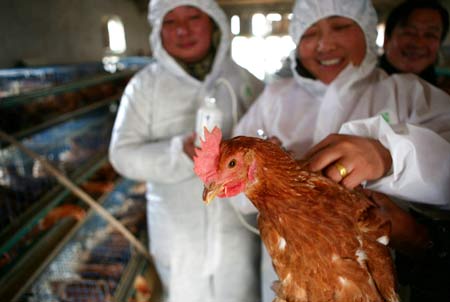 Health workers from the veterinarian station vaccinate chicken in a poultry farm in Qinjiang Village of Taizhou City, east China's Jiangsu Province, Dec. 18, 2008. Through a compulsory avian influenza vaccination policy here, the vaccination rate reaches 100%. [Xinhua] 