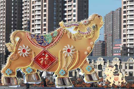 Photo taken on Dec. 18, 2008 shows the ox lanterns symbolizing the Chinese year of ox at a square in Dalian city, northeast China&apos;s Liaoning Province. With the coming of New Year and the Chinese traditional Spring Festival, Chinese people started to prepare traditional decorations. 