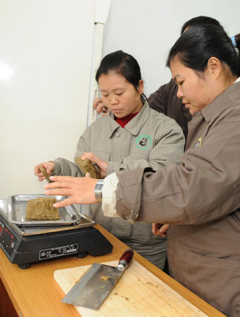 Taiwanese caretaker You Xueyin (R) and mainland caretaker Qu Chunmao prepare food for Tuan Tuan and Yuan Yuan, the two pandas donated and to be sent by the Chinese mainland to Taiwan, at a panda breeding base in Ya'an county, southwest China's Sichuan province, December 21, 2008. [Xinhua] 