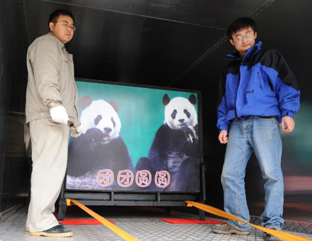 Workers decorate the truck that will carry Tuan Tuan and Yuan Yuan, the two pandas donated and to be sent by the Chinese mainland to Taiwan, at a panda breeding base in Ya'an county, southwest China's Sichuan province, December 21, 2008. [Xinhua]