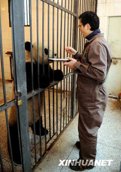 Sichuan says goodbye to pandas bound for Taiwan