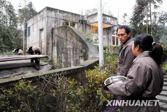 Sichuan says goodbye to pandas bound for Taiwan