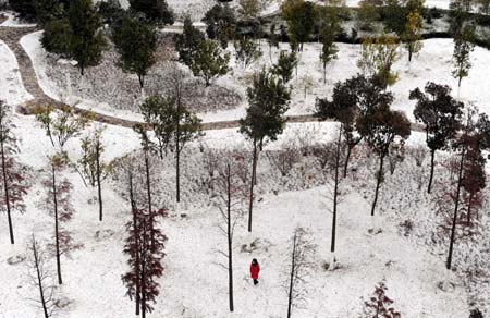  A local Resident walks in the snow-covered park in Nanchang, capital of east China's Jiangxi Province, on Dec. 22, 2008. The first snow in winter hit the province as a cold air masses moved to southern China.