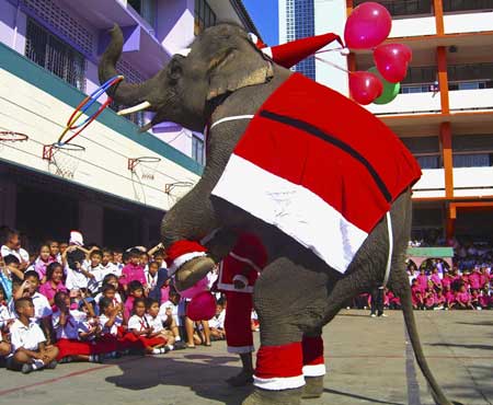 An elephant dressed as Santa Claus performs for students during Christmas celebrations at Jirasart school in Ayutthaya province, 70 km (44 miles) north of Bangkok Dec. 23, 2008.