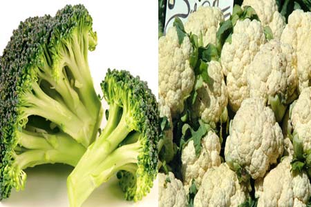 A new study finds that some vegetables like broccoli(L) and cauliflower contain compounds called isothiocyanates which we believe to be responsible for the cancer-preventive and anti-carcinogenic activities. [File phto] 