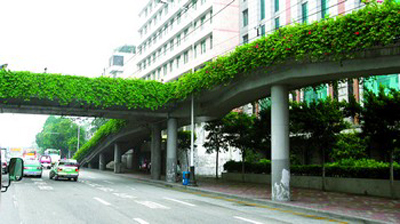 Guangzhou, as a business hub in the south, has taken the lead in urban forestation and ecological enhancement on the mainland thanks to years of efforts made by the provincial government. [Photo: Changsha Daily]
