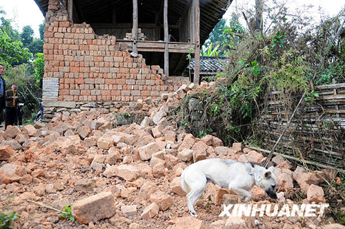 A total of 21 people were injured and nearly 110,000 others affected by Friday's earthquakes in southwest China's Yunnan Province, according to the latest information of the provincial civil affairs department.