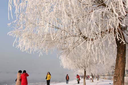 Tourists view the rime scenery by the Songhua River in Jilin city, northeast China's Jilin Province, Dec. 28, 2008. A beautiful rime scenery appeared on the both banks of the Songhua River recently due to the sudden temperture drop in this region, attractings swarms of tourists. [Xinhua]