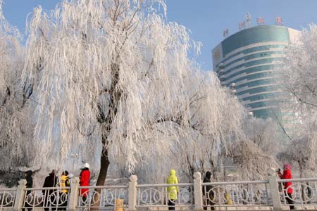 Tourists view the rime scenery by the Songhua River in Jilin city, northeast China's Jilin Province, Dec. 28, 2008. A beautiful rime scenery appeared on the both banks of the Songhua River recently due to the sudden temperture drop in this region, attractings swarms of tourists. [Xinhua]