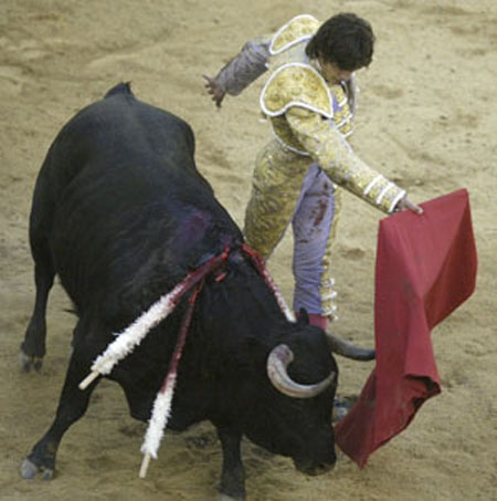 French bullfighter Sebastian Castella perfoms a pass at a bull during a bullfighting festival at Canaveralejo bullring in Cali December 28, 2008.