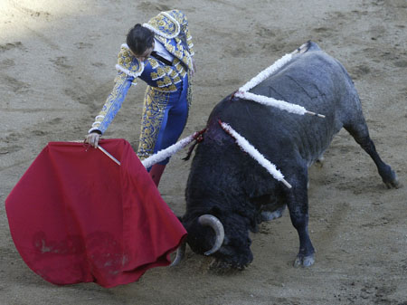 Spanish bullfighter Uceda Leal performs a pass at a bull during a bullfighting festival at Canaveralejo bullring in Cali December 28, 2008.