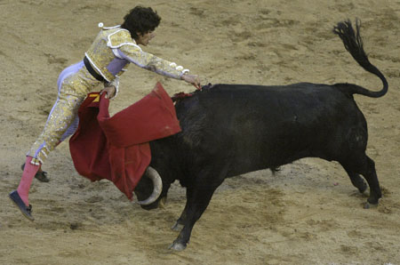 French bullfighter Sebastian Castella performs with a bull during a bullfighting festival at Canaveralejo bullring in Cali December 28, 2008.