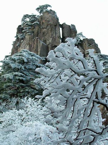 Mount Huang, the famous scenic spot in Anhui province in eastern China, drew many visitors at dawn on January 1st to watch the sunrise.