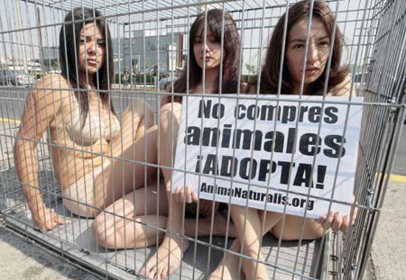 Activists from animal rights group AnimaNaturalis protest against the sale of pets inside a cage in front of a shopping mall in Mexico City January 3, 2009. 