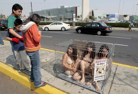 People speak with activists from animal rights group AnimaNaturalis as they protest against the sale of pets inside a cage in front of a shopping mall in Mexico City January 3, 2009.