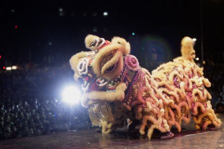 Performers of the Zhejiang Wuju Opera Troupe of China perform lion dance during the troupe's first performance in Santiago, capital of Chile, Jan. 5, 2009. The first performance attracted nearly 10,000 audience. [Xinhua]