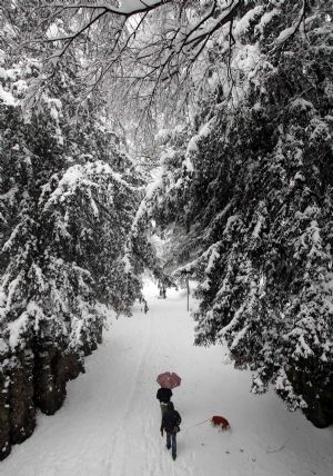 A couple stroll in a park in downtown Milan January 7, 2009. Heavy snowfall forced northern Italy to close briefly its major airports on Wednesday, including Malpensa outside Milan. Linate city airport put a halt to flights until early afternoon. [Xinhua/Reuters]