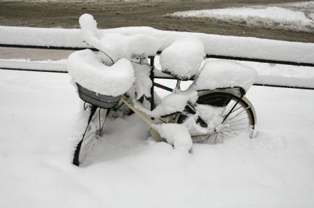 A bicycle covered in snow is seen in downtown Milan January 7, 2009. Heavy snowfall forced northern Italy to close briefly its major airports on Wednesday, including Malpensa outside Milan. Linate city airport put a halt to flights until early afternoon. [Xinhua/Reuters]