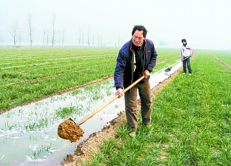 Farmers are irrigating wheat in his farmland in Xiangyun Village, Wexian County of Henan Province, on January 4, 2009. Six provinces in north and east China are battling a prolonged drought that has affected water supplies for people, livestock and agriculture. [Pingdingshan Daily photo]
