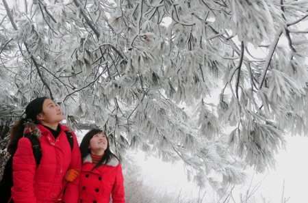 Tourists view the rime scenery at Meiling Mountain Senic Area in Nanchang, capital of east China's Jiangxi Province, Jan. 7, 2009. The temperature of southern China remained vert low recently, which caused the rare rime scenery in Nanchang.[Yuan Zheng/Xinhua]