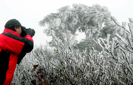 A photographer takes photo of the rime scenery at a scenic spot on Meiling Mountain in Nanchang, capital of east China's Jiangxi Province, Jan. 7, 2009. The temperature of southern China remained vert low recently, which caused the rare rime scenery in Nanchang.[Yuan Zheng/Xinhua]