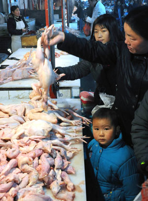 Customers select chicken at a market in Tianjin, north China, Jan. 8, 2009. Experts have begun to inspect the poultry in Beijing, Tianjin Municipality and Hebei Province in north China after a 19-year-old woman died from bird flu virus in Beijing on Monday. No epidemic outbreak has been reported in northern China at present. [Xinhua]