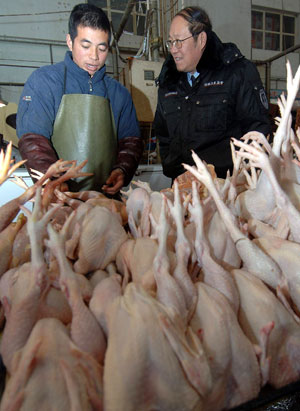 A health official checks chickens at a market in the Tongzhou District of Beijing, capital of China, Jan. 8, 2009. The Beijing municipal government has ordered better monitoring of live poultry trade, strengthening poultry examinations and disinfection after a 19-year-old woman died from bird flu virus in Beijing on Monday.[Gong Lei/Xinhua]