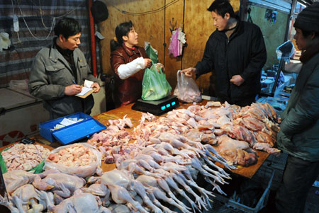 Customers select chicken at a market in Tianjin, north China, Jan. 8, 2009. Experts have begun to inspect the poultry in Beijing, Tianjin Municipality and Hebei Province in north China after a 19-year-old woman died from bird flu virus in Beijing on Monday. No epidemic outbreak has been reported in northern China at present. [Liu Haifeng/Xinhua]