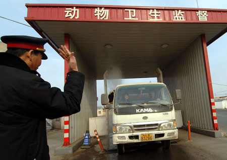 A truck carrying animals is disinfected at a checkpoint in Beijing, capital of China, Jan. 8, 2009. The Beijing municipal government has ordered better monitoring of live poultry trade, strengthening poultry examinations and disinfection after a 19-year-old woman died from bird flu virus in Beijing on Monday. [Gong Lei/Xinhua]