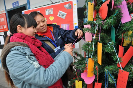 Two women read cards with blessings written on them hung on a tree at a temporary housing area for May 12 earthquake survivors in Dujiangyan, southwest China's Sichuan province January 6, 2009. 