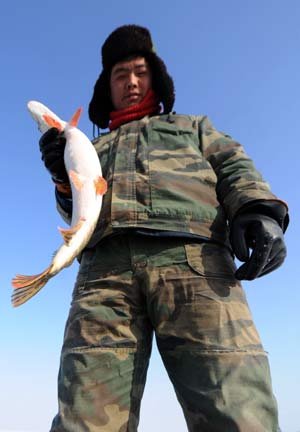 A fisherman shows his fish on the Ulunggur Lake in Fuhai County, northwest China's Xinjiang Uygur Autonomous Region, Jan 8, 2009. The traditional winter halieutics here bring considerable incomes to local fishmen, and boosts the tourism around the Ulunggur Lake as well. [Sadat/Xinhua]