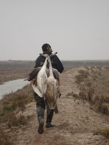 Huang Xianyin, a conservationist from Henghu Township, carries the bodies of two dead swans and four wild ducks killed by poachers near the shores of the Poyang Lake, January 4, 2009. [Jiangnan City Daily] 