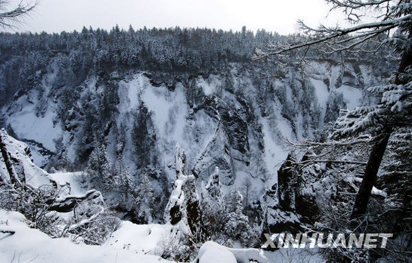 A snow covered gorge runs along Changbai Mountain in northeast China's Jilin Province in this photo taken on January 12, 2009. The white snow stands stark in contrast with black pines, making a picturesque scene in this renowned famous tourist resort. [Photo: Xinhuanet]
