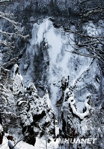 A snow covered gorge runs along Changbai Mountain in northeast China's Jilin Province in this photo taken on January 12, 2009. The white snow stands stark in contrast with black pines, making a picturesque scene in this renowned famous tourist resort. [Photo: Xinhuanet]