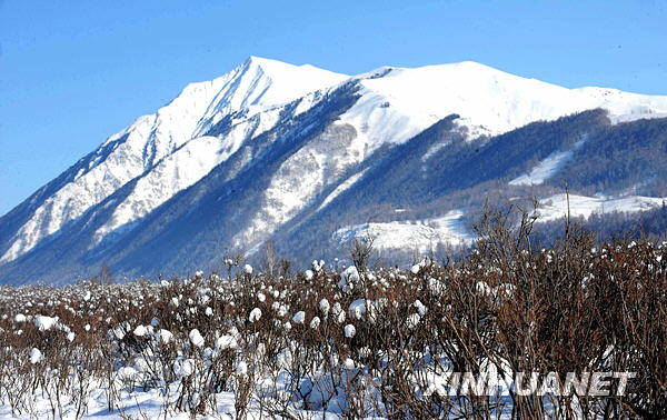 Snow covered mountains and grasslands in Kanas provides a picturesque view for visitors. [Photo: Xinhuanet]
