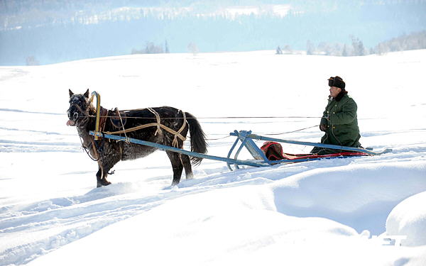 A local herdsman riding home on a sledge pulled by a horse. [Photo: Xinhuanet] 