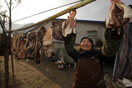 Villager Wang Subi airs the preserved ham for the upcoming Spring Festival in Leigu Town of Beichuan County, southwest China&apos;s Sichuan Province, Jan. 12, 2009. People in Beichuan had engaged in reconstructing their hometown with 47,814 farmers&apos; houses completed or being built, which account for 76% of the total. (Xinhua/Zhu Zheng)