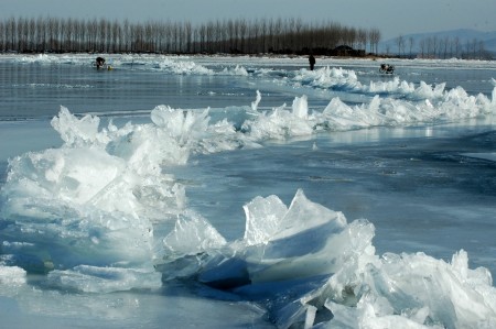 Ice in various shapes and sizes is seen at the Yuqiao Reservoir, Tianjin, North China, January 14, 2009. The water of Yuqiao Reservoir is frozen due to temperature drops and the ice swells because of the negative thermal expansion effect. [Xinhua]
