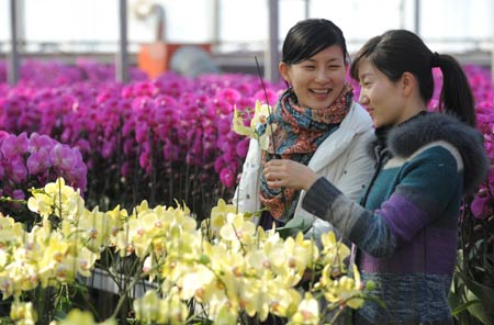 Young women buy moth orchids in a greenhouse of Zhejiang University in Hangzhou, capital city of east China's Zhejiang Province, Jan. 15, 2009. The local flower business heats up in the market as the Chinese traditional Spring Festival approaches. [Xu Yu/Xinhua] 