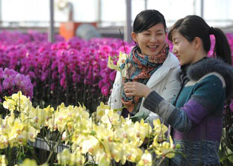 Flower business heats up with Spring Festival approaching