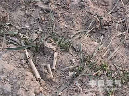 Undated file photo shows droughty earth in northern China's Shanxi province. China's Ministry of Agriculture said on Tuesday that lack of rainfall in major wheat-growing provinces has brought drought to 119 million mu (7.9 million hectares) of wheat farmland. [aweb.com.cn]