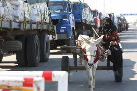 An Egyptian woman on her donkey cart passes trucks loaded with aids outside Rafah Crossing at the Egyptian-Gaza border, Jan. 21, 2009. Four days after Israel announced a unilateral ceasefire in the Palestinian territory of Gaza Strip, more humanitarian aid convoys arrived at Rafah crossing at the Egyptian-Gaza border, waiting for the permission to get into the Palestinian enclave. 