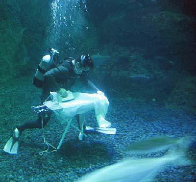 British scuba divers create world record for underwater ironing. 