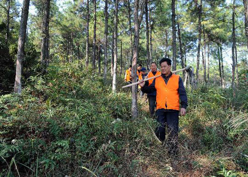 Workers make an inspection of the nearby forest in the Xinle County, Jiangxi Province, on November 12, 2008. The State Forestry Administration issued an emergency notice on January 25, 2009, urging local authorities to beef up efforts for forest fire prevention during the dry winter.