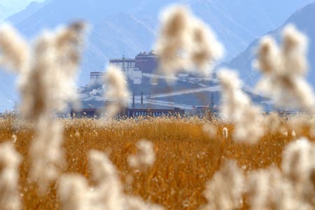 Picture taken on Feb. 1, 2009 shows a view of the Lalu wetland in Lhasa, capital of southwest China's Tibet Autonomous Region. The Lalu wetland is acclaimed as 'the Lung of Lhasa' for its significant role in protecting Lhasa's environment. [Chogo/Xinhua] 