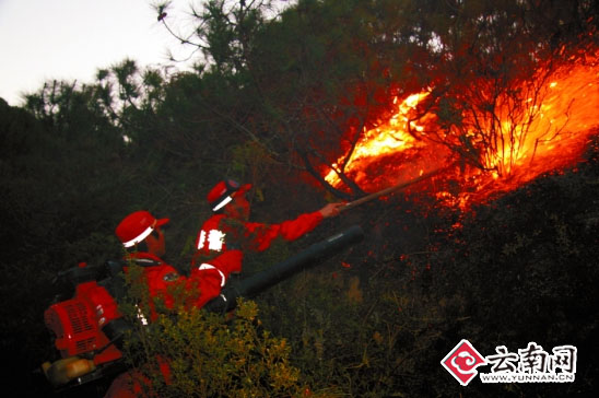 Soldiers fought the forest fire in southwest China's Yunnan Province. 