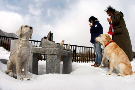 Women pray at a tomb for dead guide dogs in an asylum for retired guide dogs in Sapporo, northern Japan, Feb. 2, 2009. Most guide dogs over 12 years old are retired from service due to their declining physical strength. More than 200 retired guide dogs have lived their remaining years in the facility since the Hokkaido guide dogs association opened the care center in 1978, authorities said.(Xinhua/Reuters Photo)