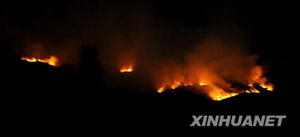 A forest fire in southwest China's Yunnan Province was extinguished early Tuesday after burning more than 10 km and claiming one life. 