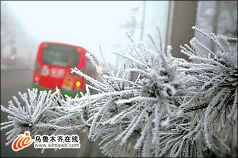 Photo taken on February 2, 2009 shows the rime along the road in Urumqi, the regional capital of northwest China's Xinjiang Uygur Autonomous Region. More than 3,600 people were stranded at an local airport after thick fog affected 76 domestic flights.