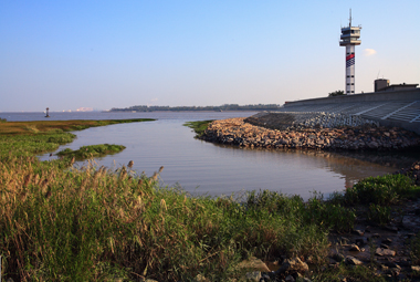 Paotaiwan (Emplacement) Wetland Park in Shanghai's northern Baoshan District, an ecological paradise, was built three years ago where vast heaps of steel slag and junk were encroaching. [Shanghai Daily] 
